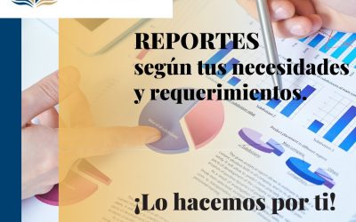 Reportes según tus necesidades