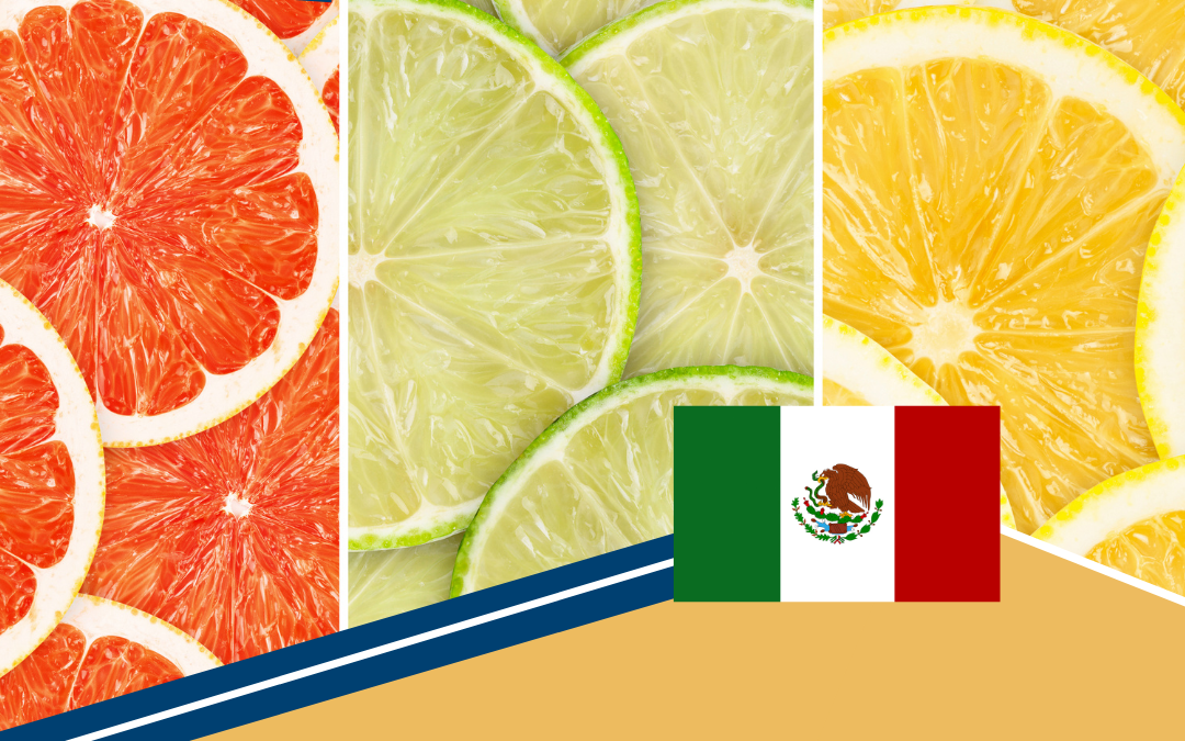 Aumentan las exportaciones mexicanas de cítricos