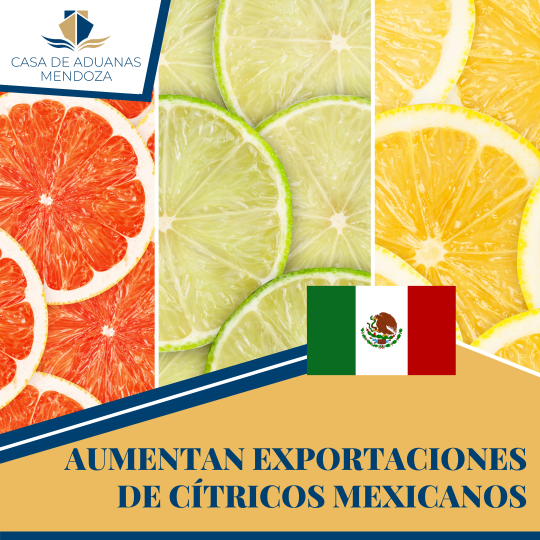 EXPORTACION CITRICOS