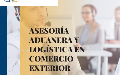 Asesoría en materia aduanera y logística de comercio exterior