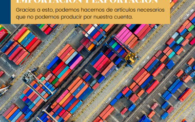 La Importancia de la Importación y Exportación