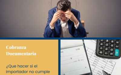 Cobranza documentaria ¿Qué hacer si el importador no cumple con su pago?