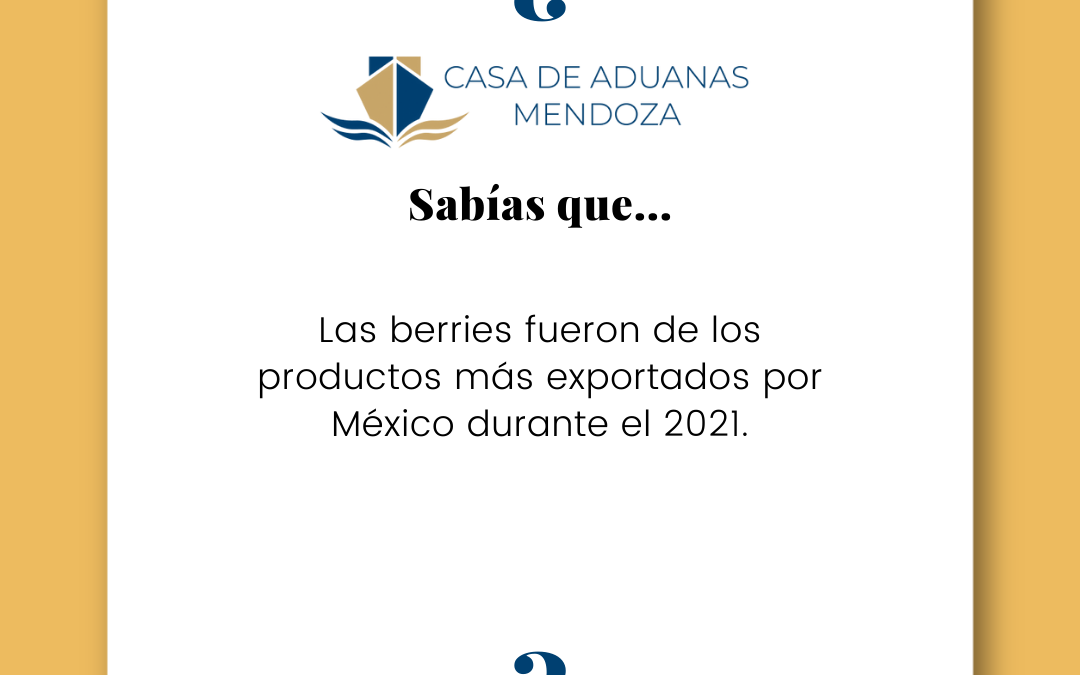 ¿SABIAS QUÉ? Las berries fueron de los productos más exportados por México durante el 2021.