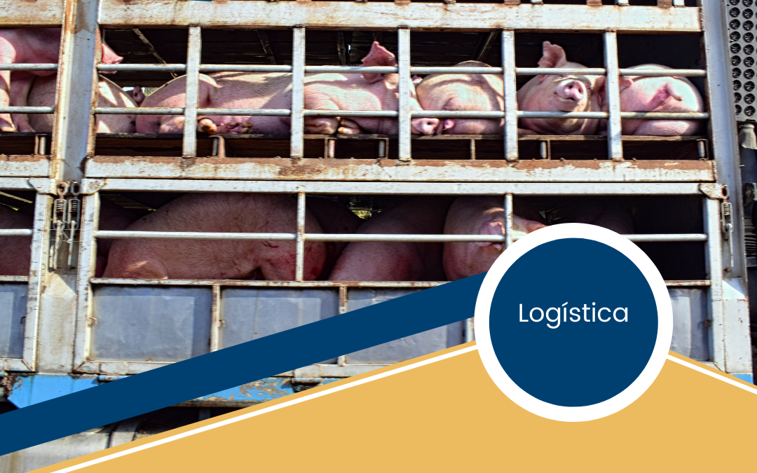 Transporte de Animales Vivos.