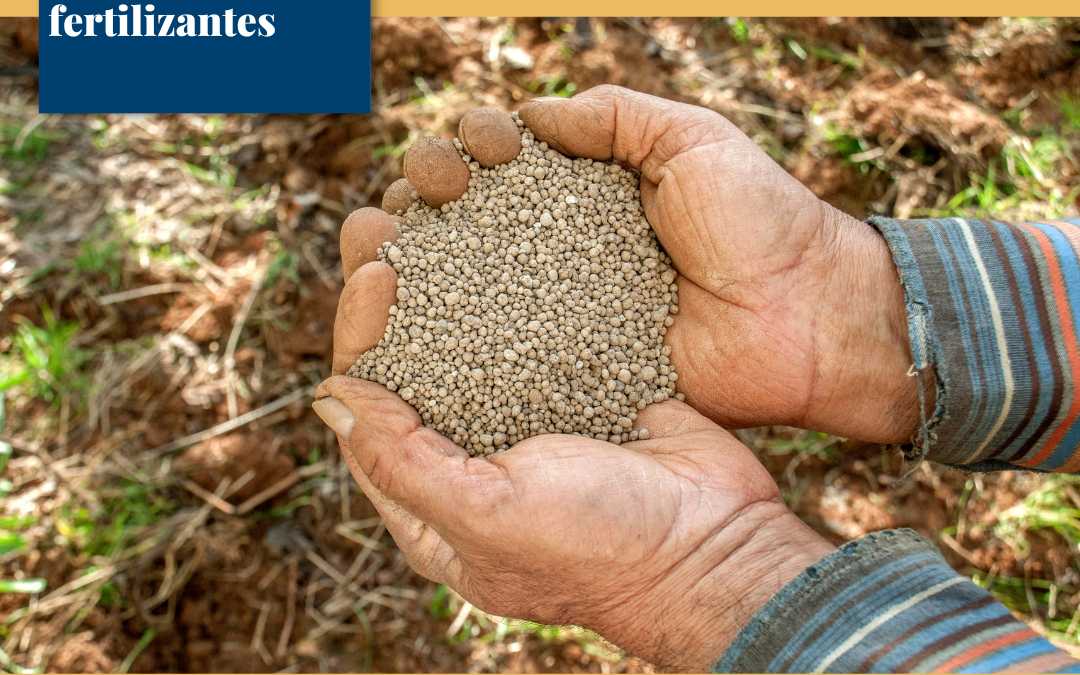 Afectaciones al campo mexicano por crisis de fertilizantes.