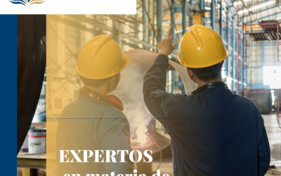 Expertos en materia de logística a tu alcance.