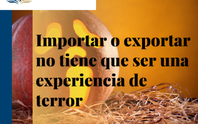 Importar o exportar no tiene que ser una experiencia de terror si estás con los expertos.