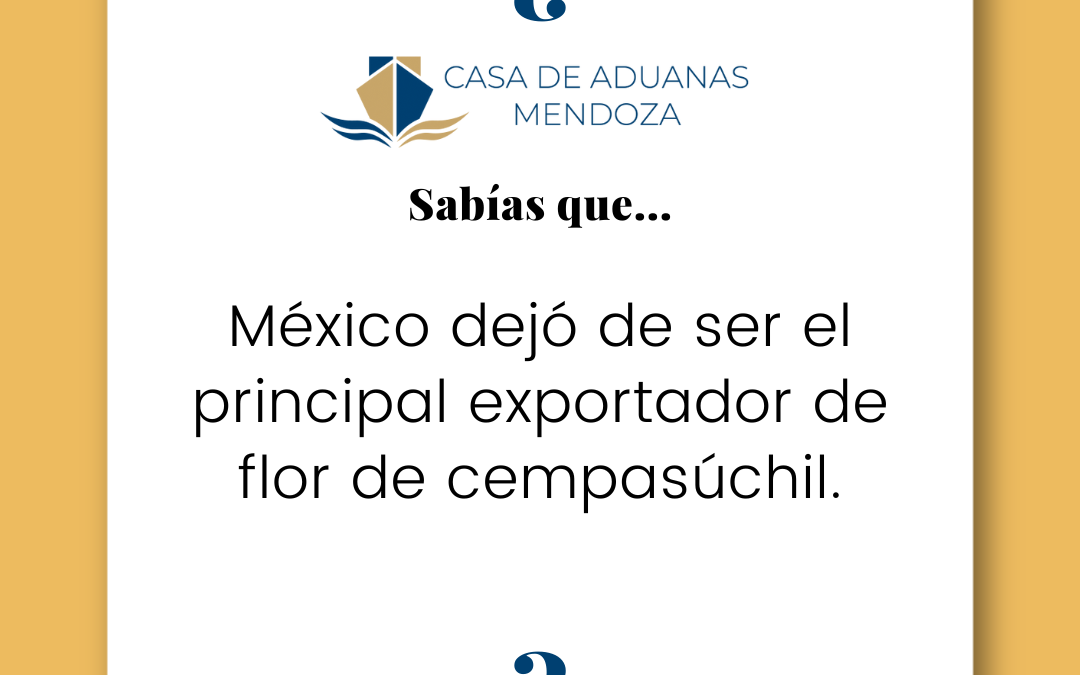 México dejó de ser el principal exportador de flor de cempasúchil.