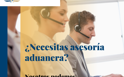 ¿Necesitas asesoría aduanera? Nosotros podemos ayudarte