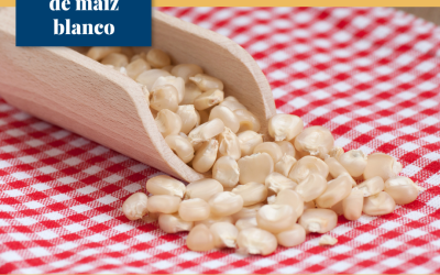 Se modifica el arancel a la exportación de maíz blanco.