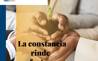 La constancia rinde frutos.