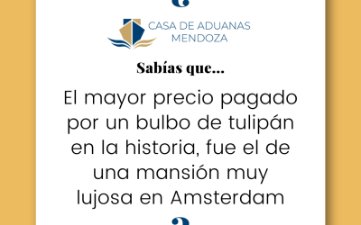El mayor precio pagado por un bulbo de tulipán en la historia, fue el de una mansión muy lujosa en Amsterdam.