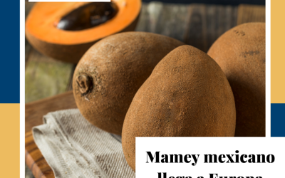 Mamey mexicano llega a Europa.