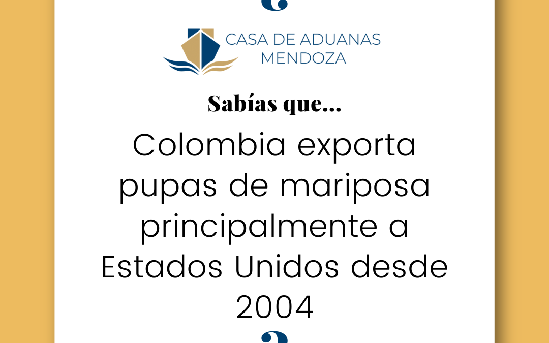 Colombia exporta pupas de mariposa principalmente a Estados Unidos desde 2004.