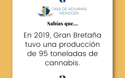 En 2019, Gran Bretaña tuvo una producción de 95 toneladas de cannabis.