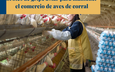 México y Brasil buscan evitar brotes de gripe aviar para mantener el comercio de aves de corral.