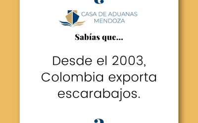 Desde el 2003, Colombia exporta escarabajos.