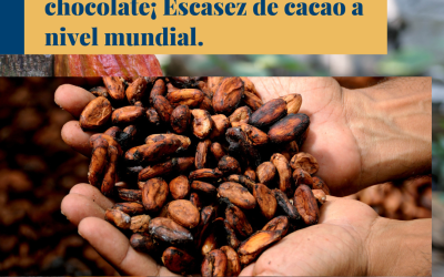 !Mundo sin chocolate¡ Escasez de cacao a nivel mundial.